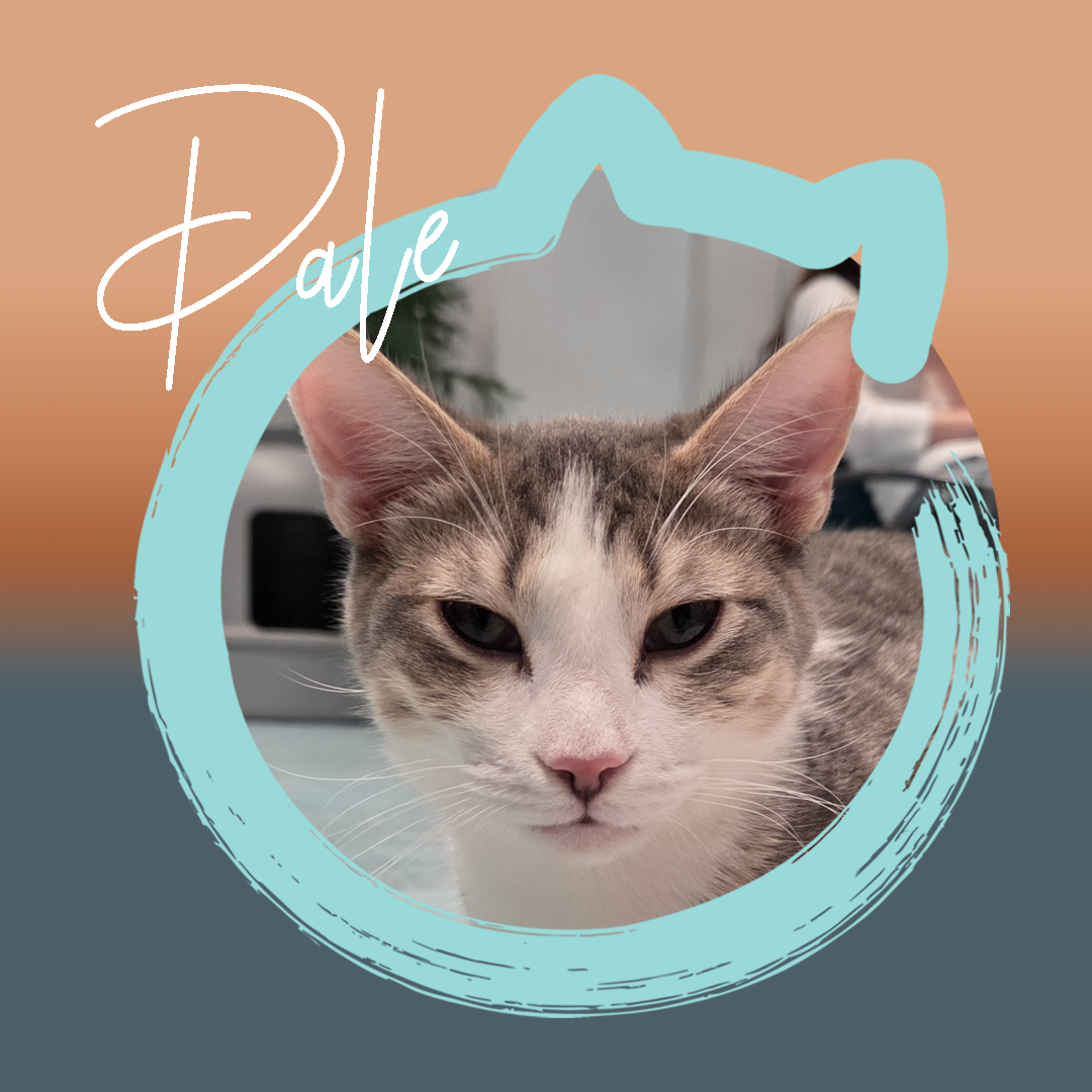 Dale