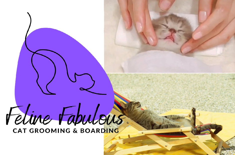 charlotte’s premier cats only grooming & boarding facility!