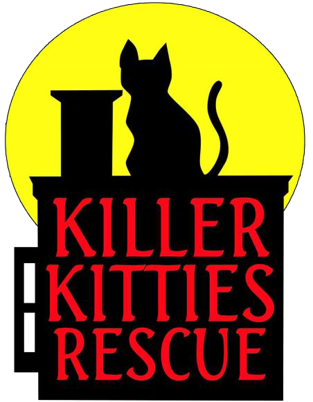 killer kitties rescue