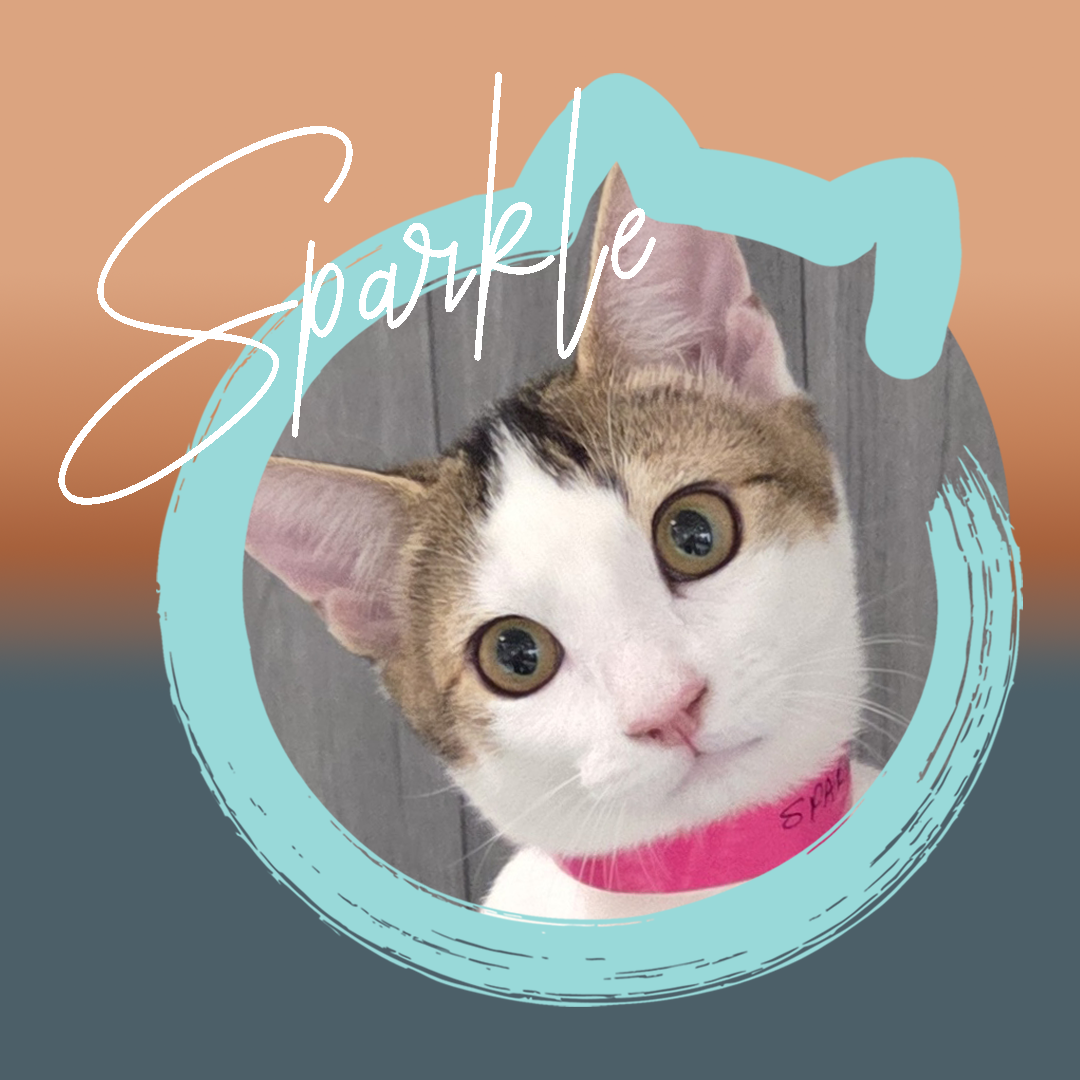 Sparkle