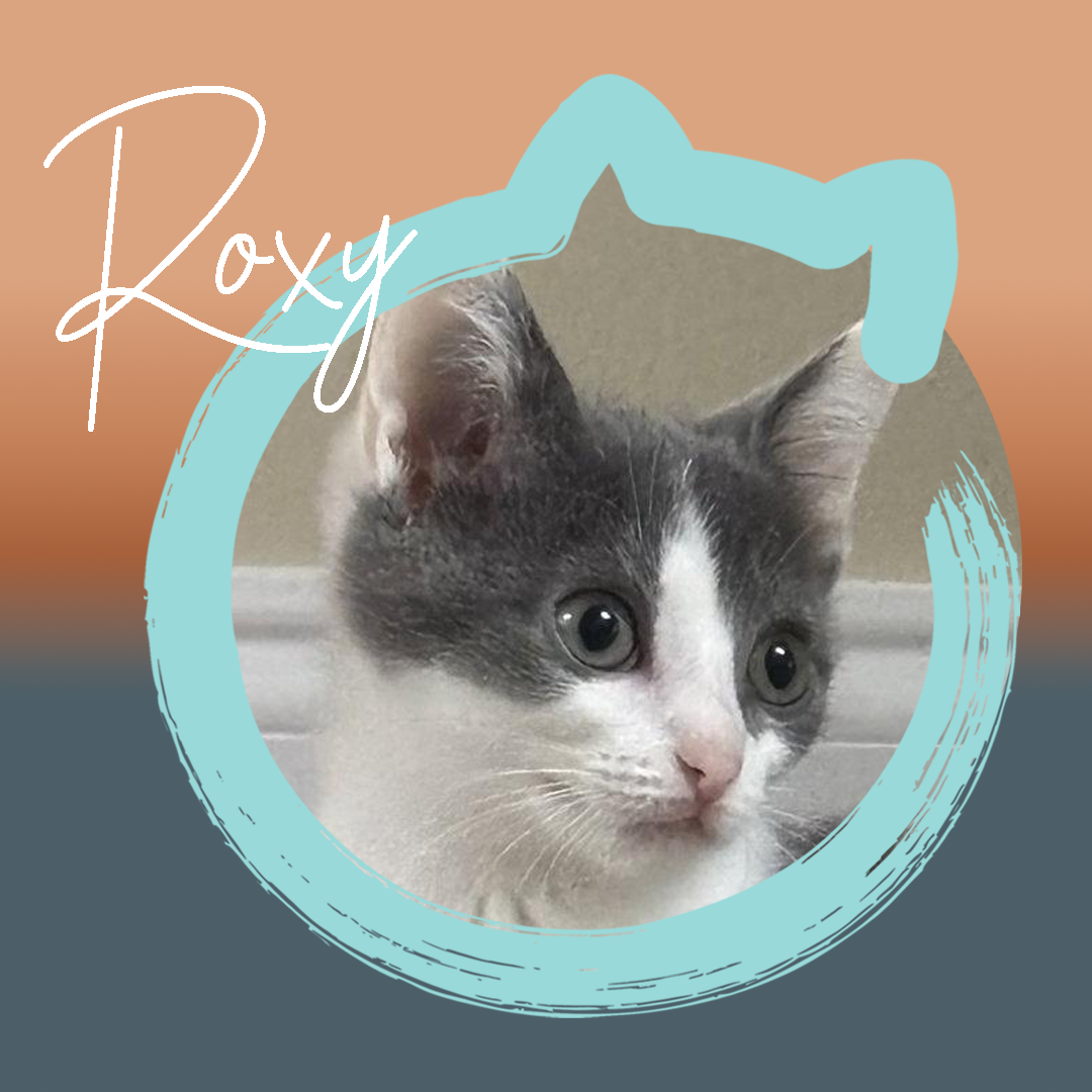 Roxy